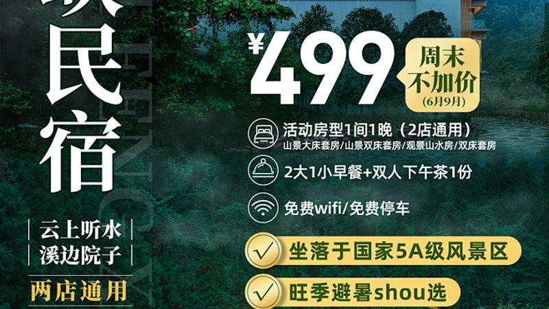 行业背景：连锁品牌的崛起与竞争态势